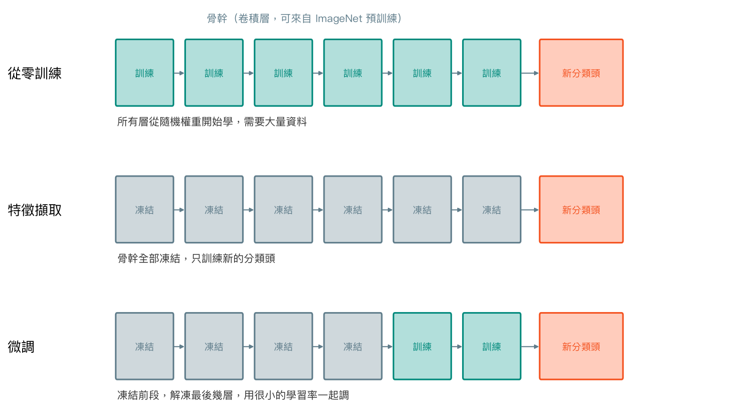 從零訓練、特徵擷取、微調三種方式中，哪些層凍結、哪些層訓練