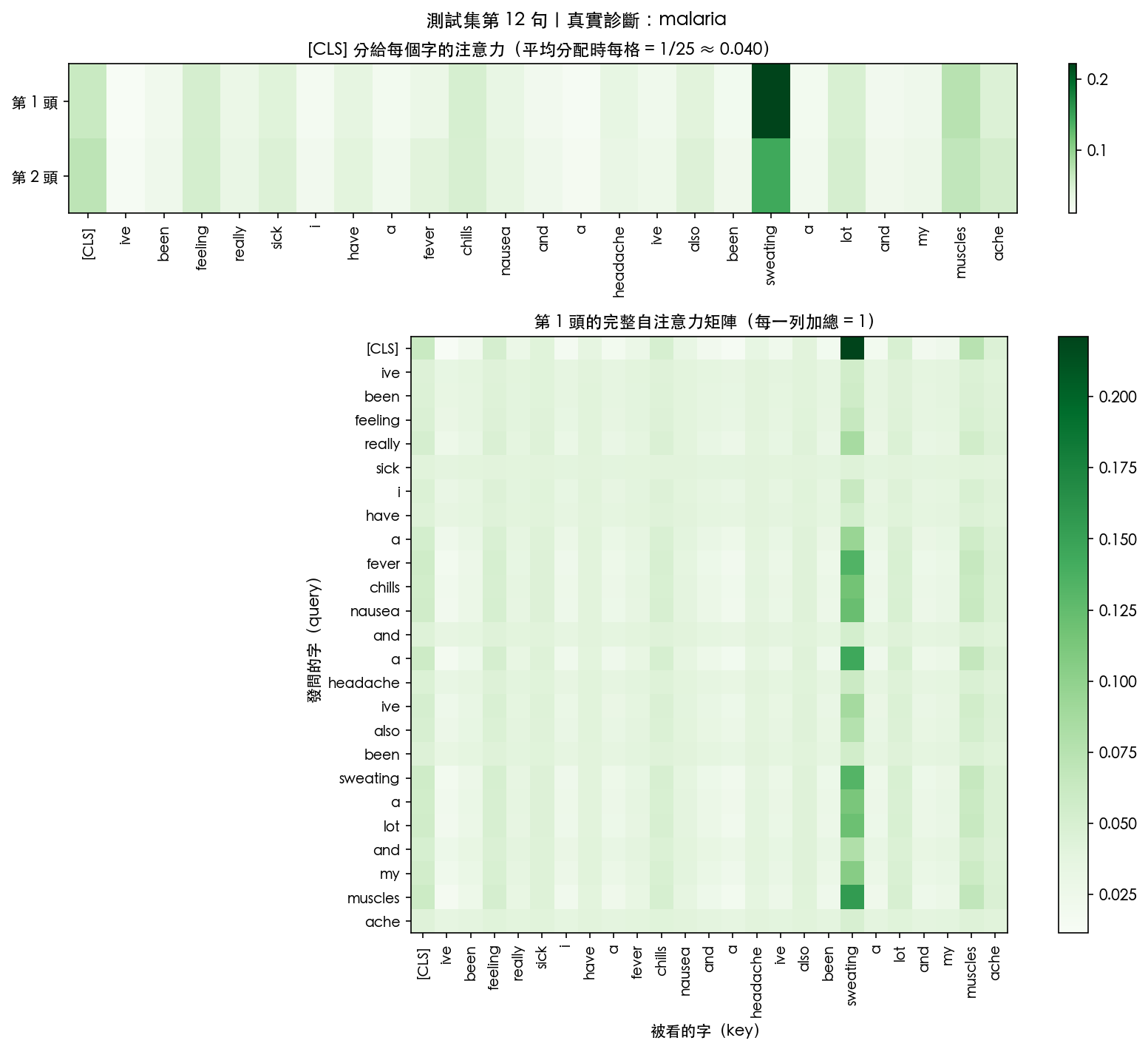 一則 malaria 描述的注意力熱圖：上為兩個頭的 [CLS] 權重，下為第 1 頭完整矩陣，sweating 最深