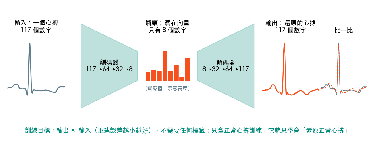 自編碼器示意：一個真實心搏經編碼器壓成 8 個數字，再由解碼器還原；右邊把原始（灰）與還原（橘虛線）疊在一起比較